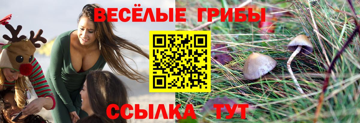 Галлюциногенные грибы мицелий  Вход с VPN  Псилоцибиновые грибы MAGIC MUSHROOMS  Фрязино 