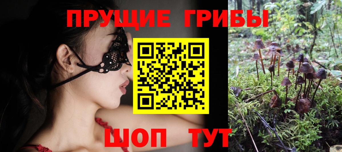 Галлюциногенные грибы прущие грибы Фрязино