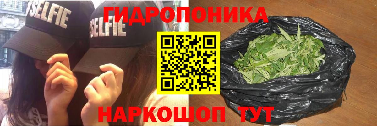 Бошки Шишки SATIVA & INDICA  Канабис VHQ  Вход с VPN  Фрязино  Каннабис AK-47 